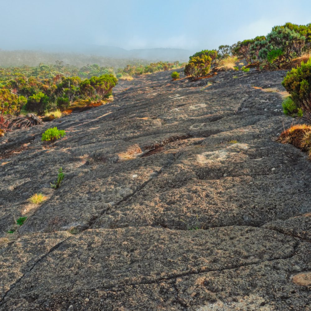 Roche Ecrite ile de la reunion