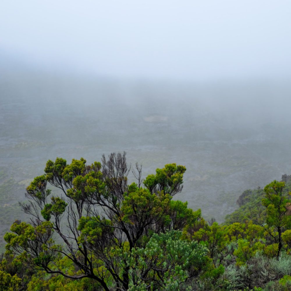 Brume gr r2 pluie