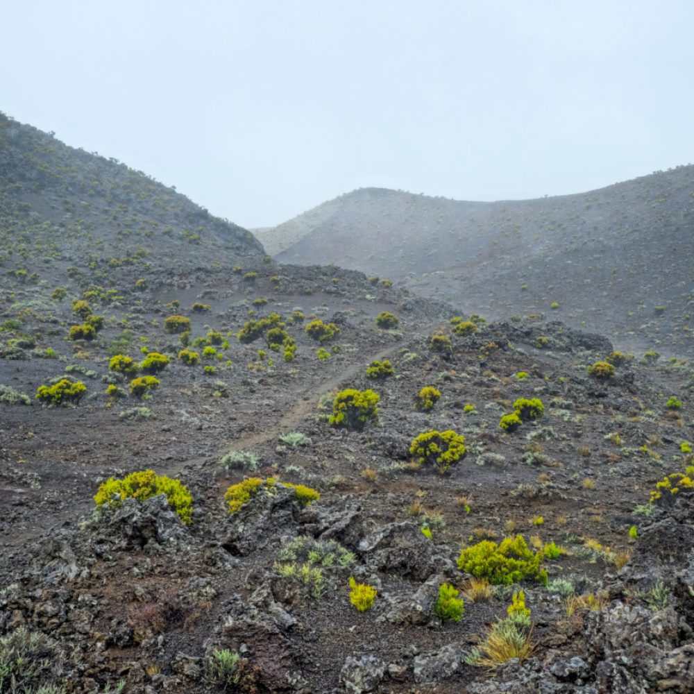 Brume piton fournaise volcan