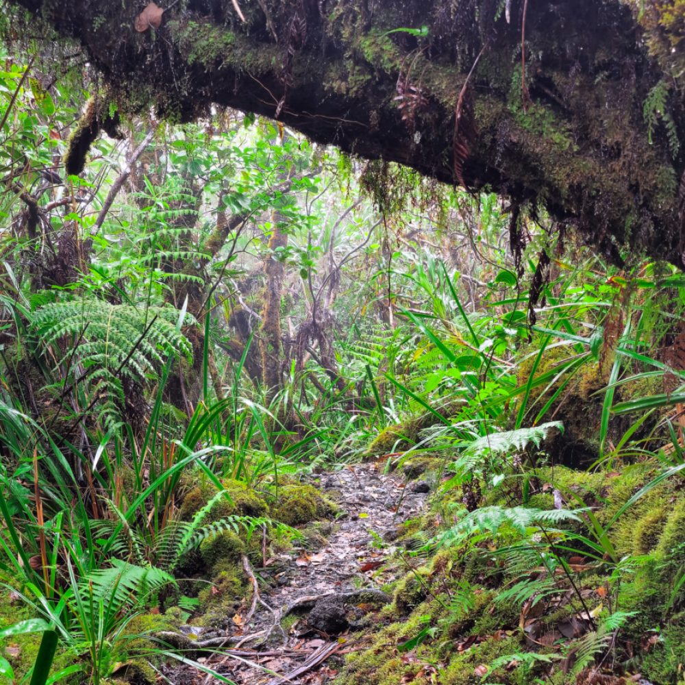 GR R2 ile de la reunion