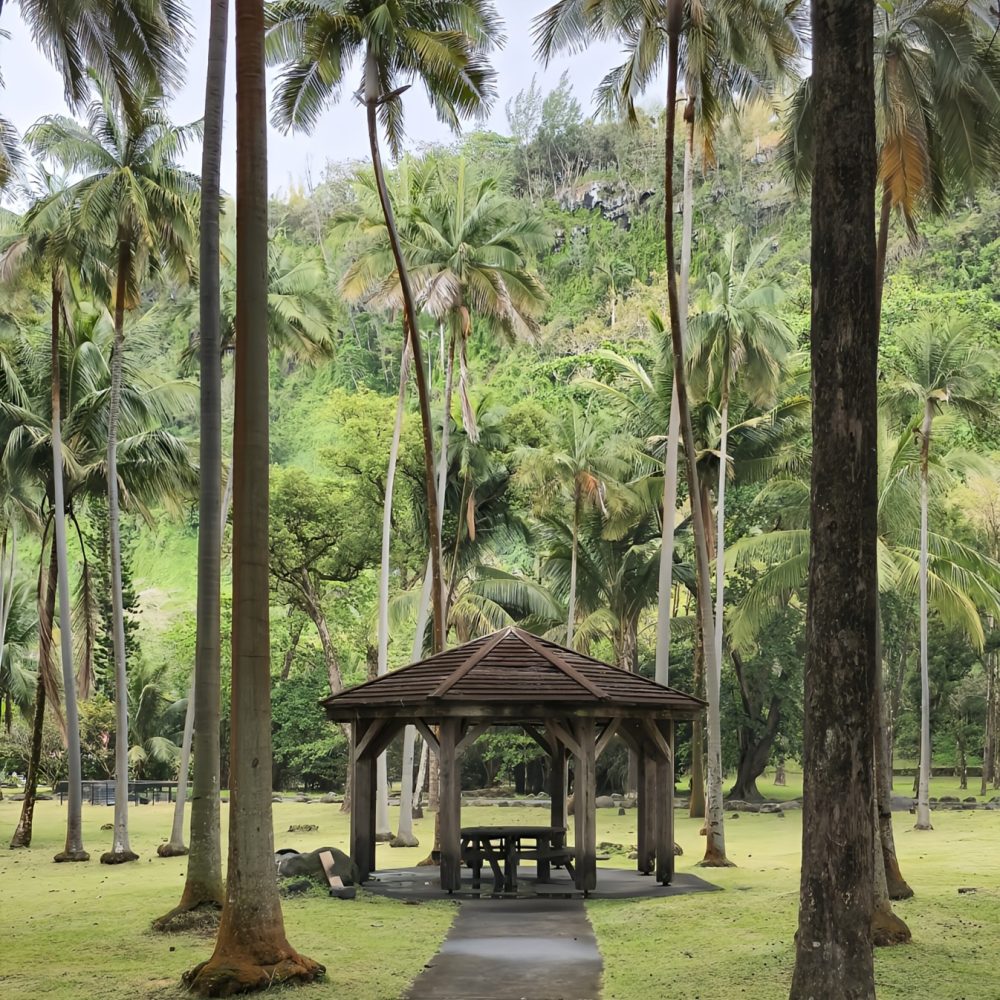 Anse des Cascades Ile Reunion